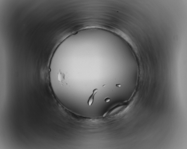 X0000096721145200802191523