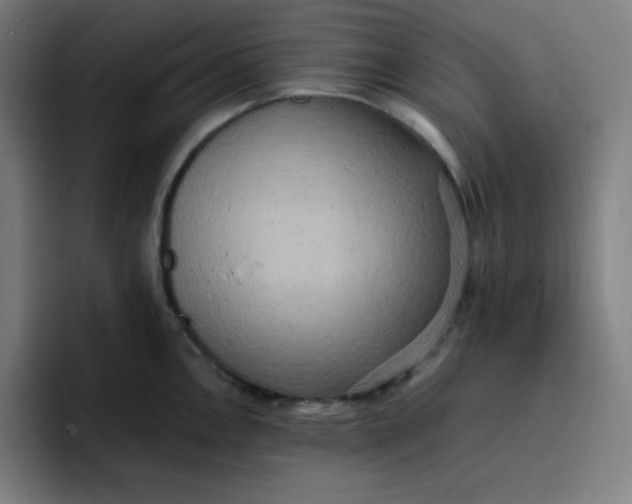 X0000096721146200802191523