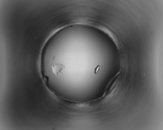 X0000096721147200802191523