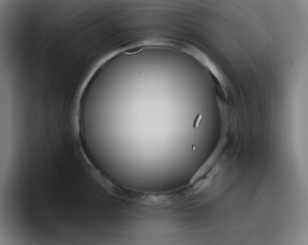 X0000096721148200802191523