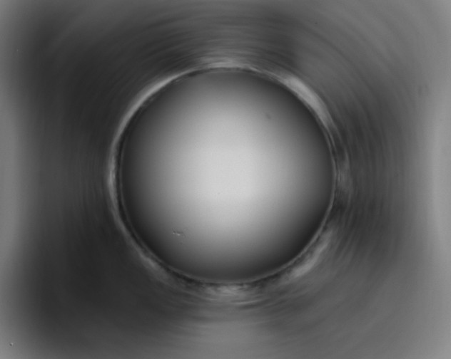 X0000096721149200802191523