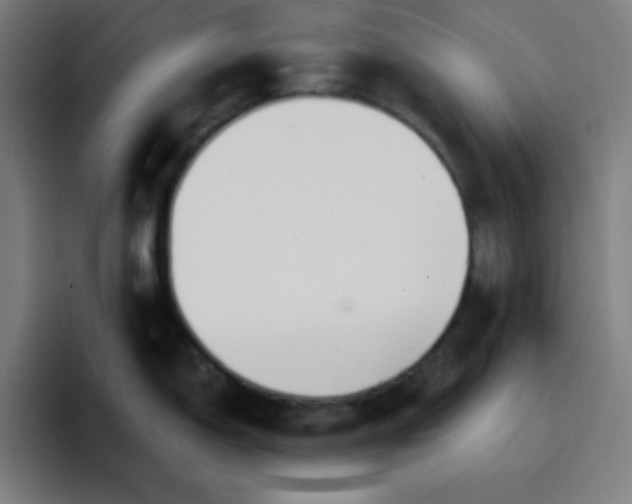 X0000096721150200802191523