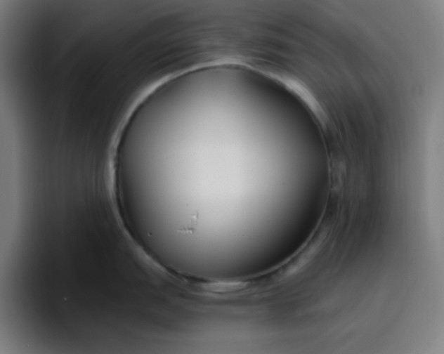 X0000096721151200802191523