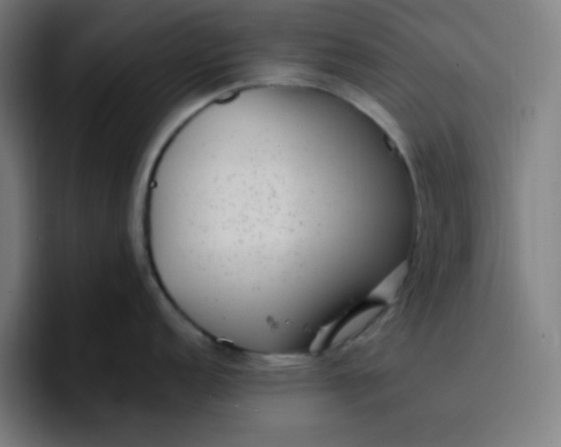 X0000096721152200802191523