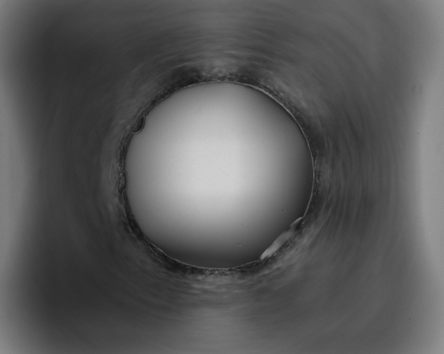 X0000096721153200802191522