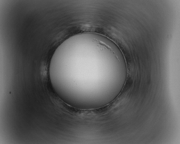 X0000096721154200802191522