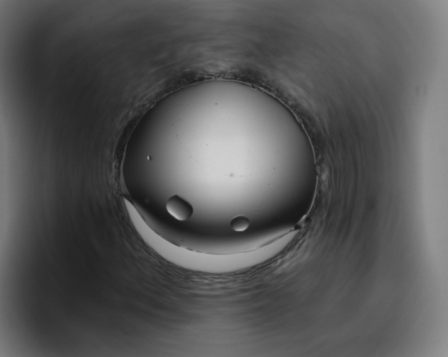 X0000096721156200802191522