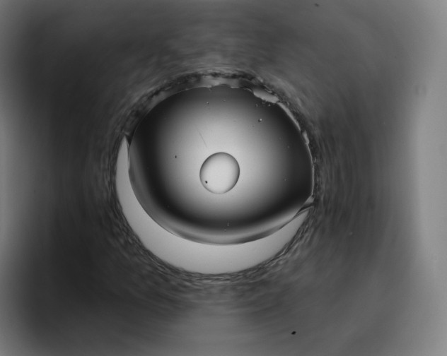 X0000096721157200802191522