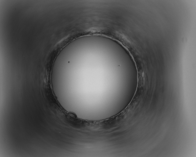 X0000096721158200802191522