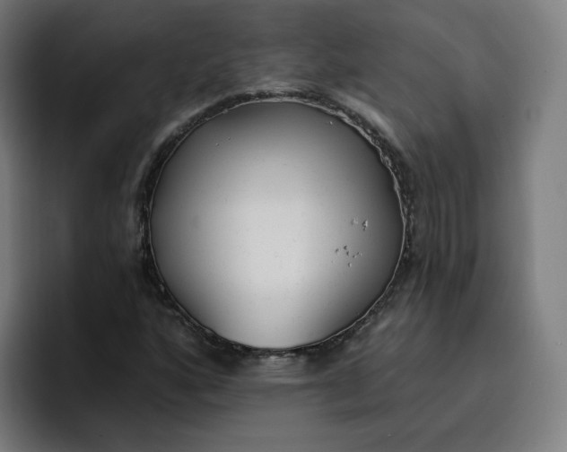 X0000096721160200802191522