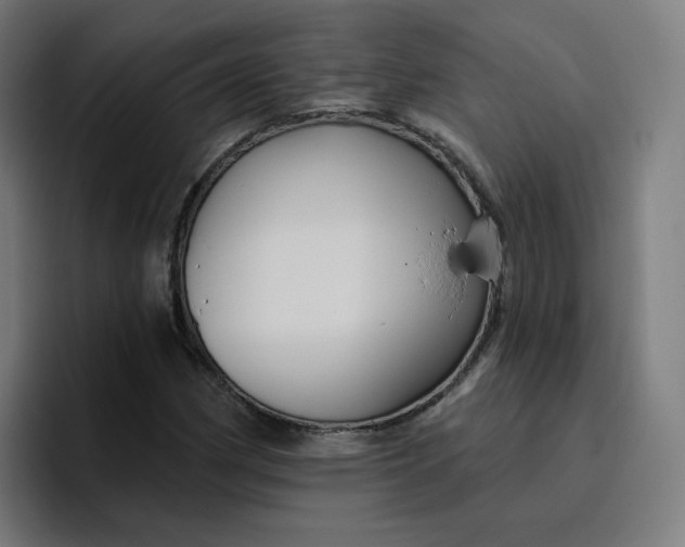 X0000096721162200802191522