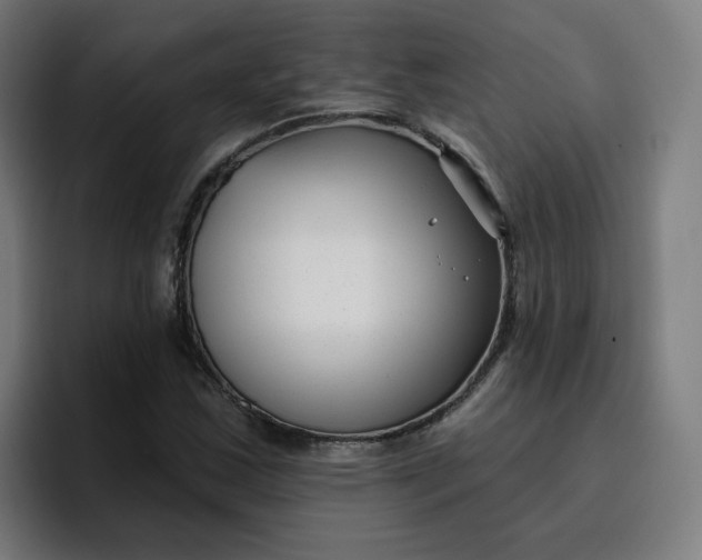 X0000096721163200802191522