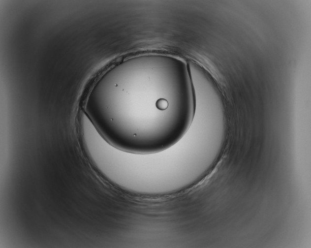 X0000096721164200802191522