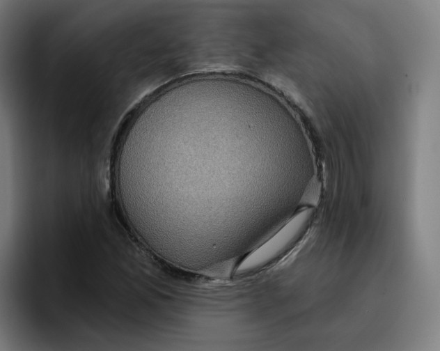 X0000096721165200802191522