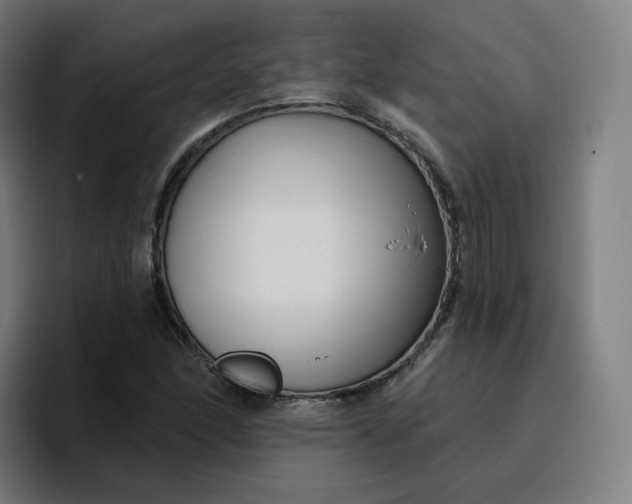 X0000096721166200802191522