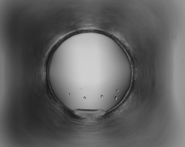 X0000096721167200802191522