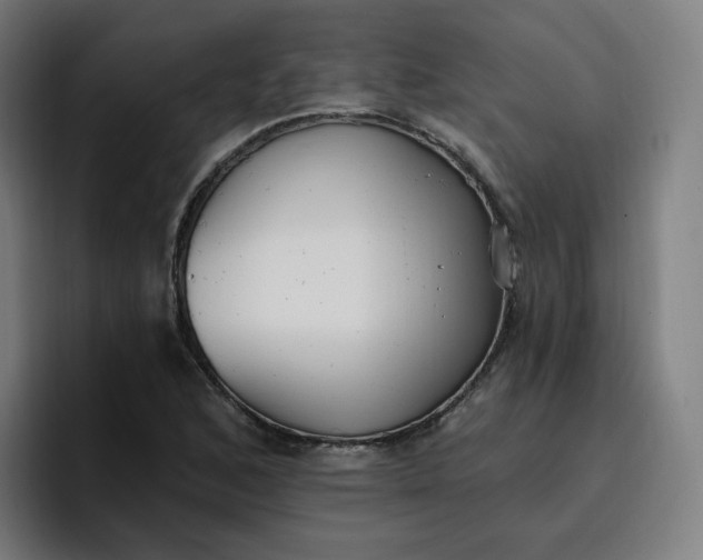 X0000096721168200802191522