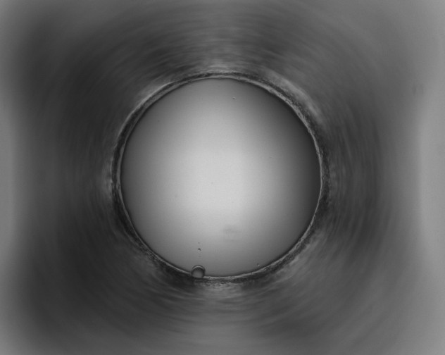 X0000096721170200802191522