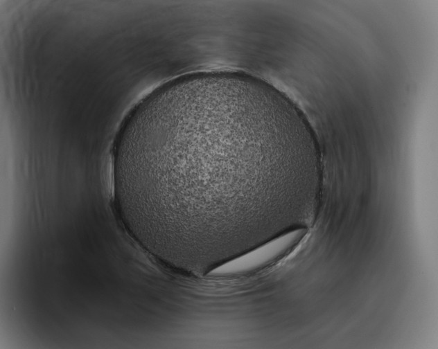 X0000096721171200802191522