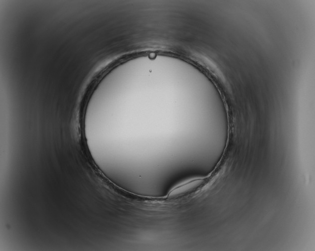 X0000096721172200802191522