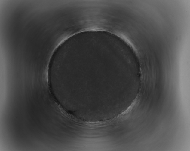 X0000096721173200802191522