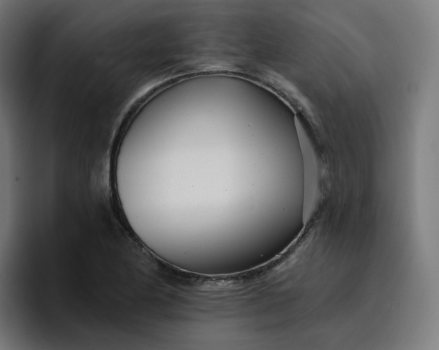 X0000096721174200802191522