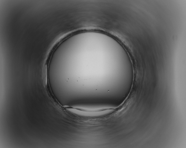 X0000096721175200802191522