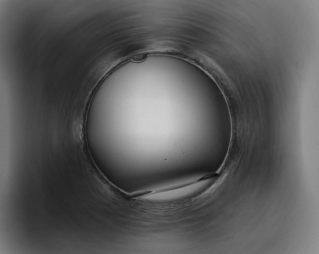 X0000096721177200802191522