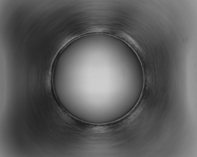 X0000096721178200802191522