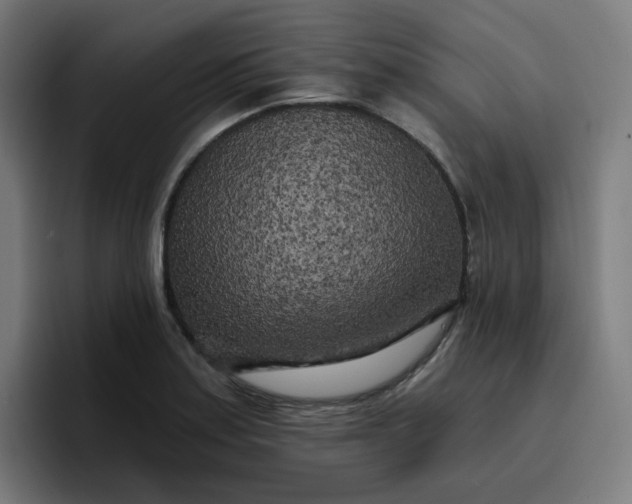 X0000096721179200802191522