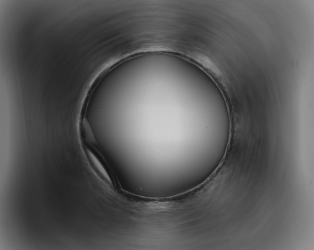 X0000096721181200802191522