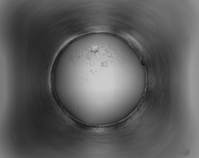 X0000096721182200802191522