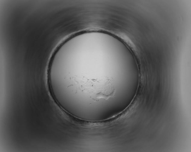 X0000096721183200802191522