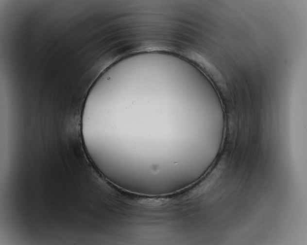 X0000096721185200802191522