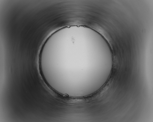 X0000096721187200802191522