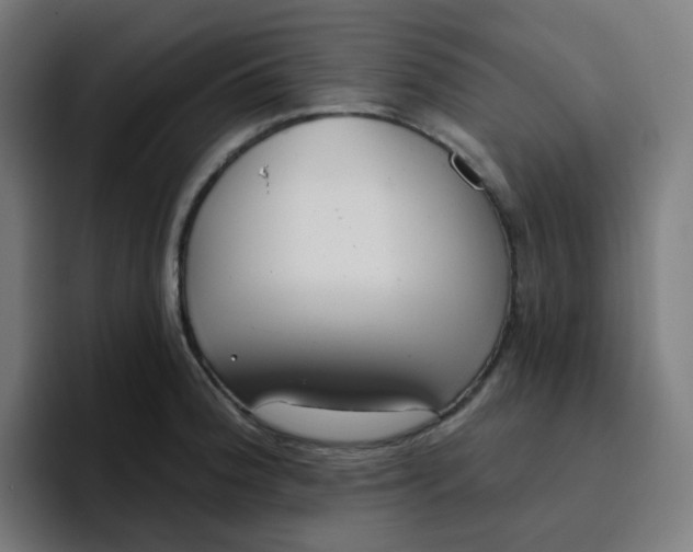 X0000096721188200802191522