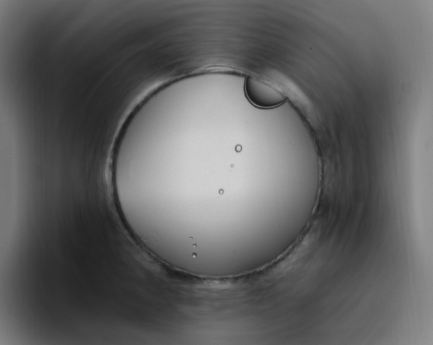 X0000096721190200802191522