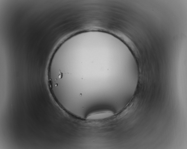 X0000096721191200802191522