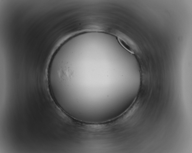 X0000096721192200802191522