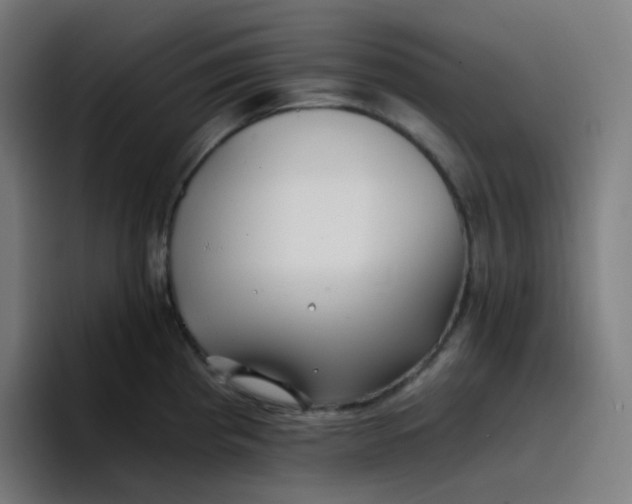 X0000096721193200802191522