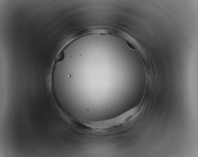 X0000096721194200802191522