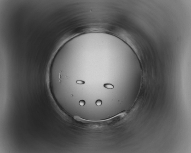 X0000096721195200802191522