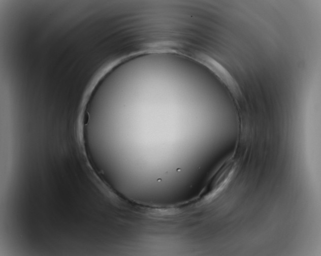 X0000096721196200802191522