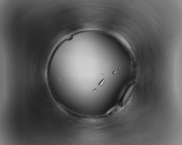 X0000096721197200802191522