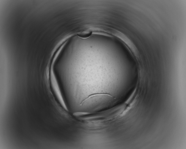 X0000096721198200802191522