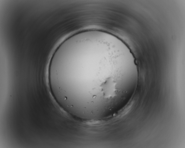 X0000096721199200802191522