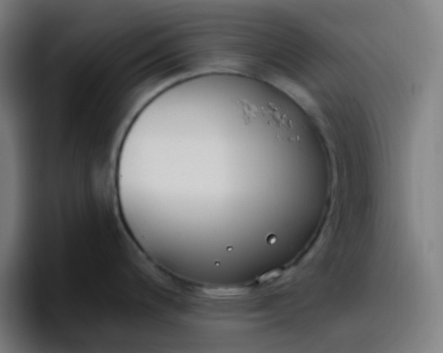 X0000096721200200802191522