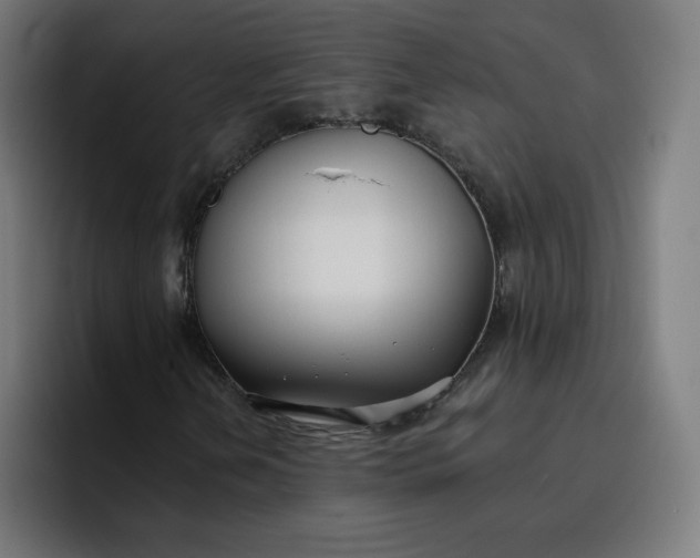 X0000096721202200802191521