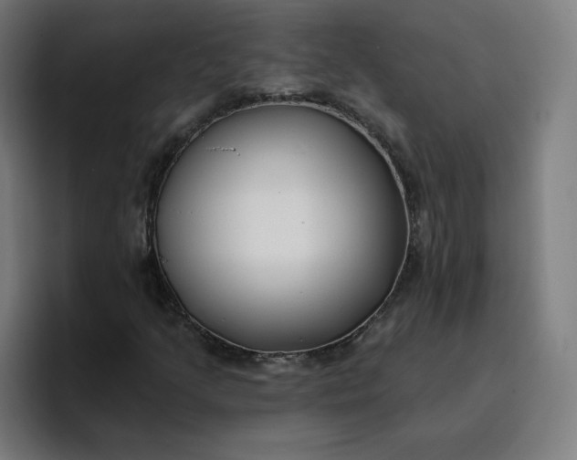 X0000096721205200802191521