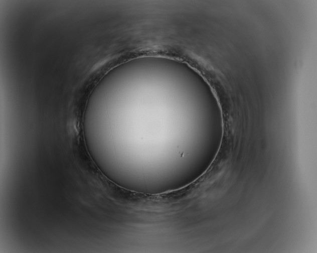 X0000096721206200802191521